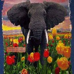 Elephant Tulips Elephant Tulips
