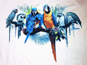 birdsonbranch_x1501
