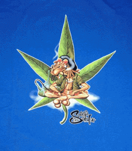 Plant