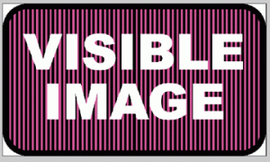 t-fx-visible