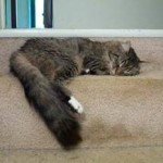 New Relaxation Technique