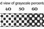 halftones5-web Figure 5